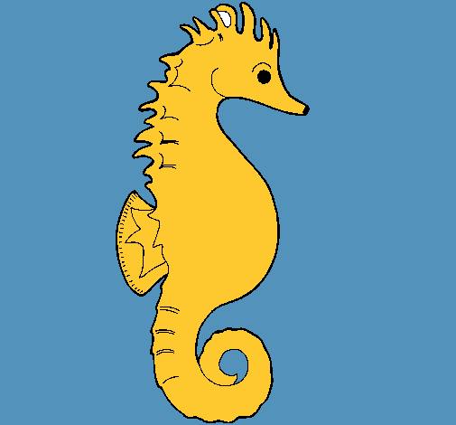 Caballito de mar