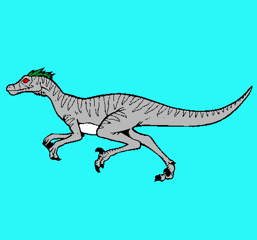 Velociraptor