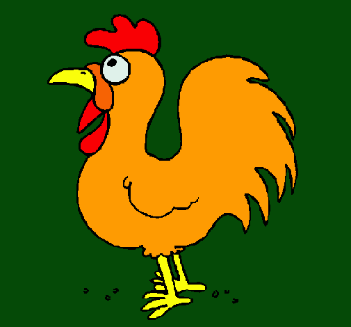 Gallo de granja