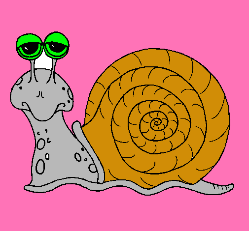 Caracol