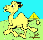 Dibujo Camello pintado por nayeli