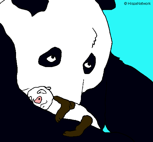 Oso panda con su cria