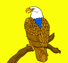 Dibujo Águila en una rama pintado por emiliobosch