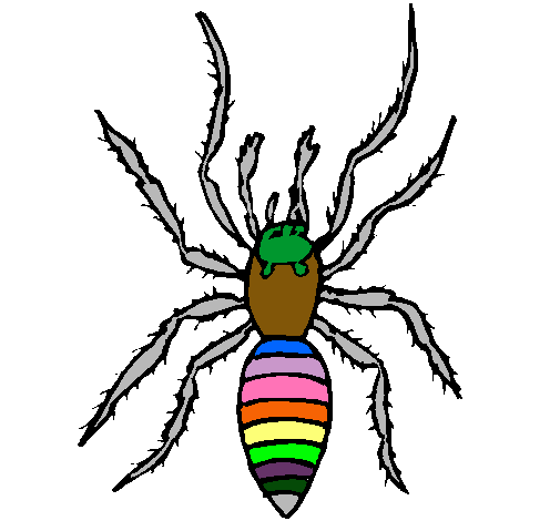 Araña tigre