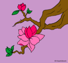 Dibujo Flor de almendro pintado por rosalva