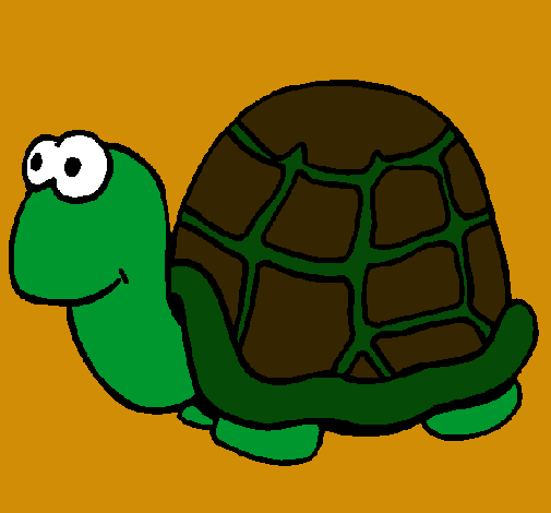 Tortuga