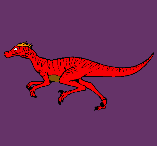 Velociraptor