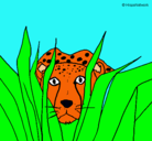 Dibujo Guepardo pintado por gepardo