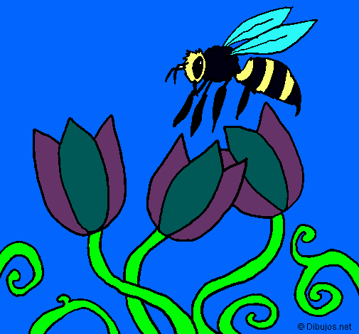 Abeja