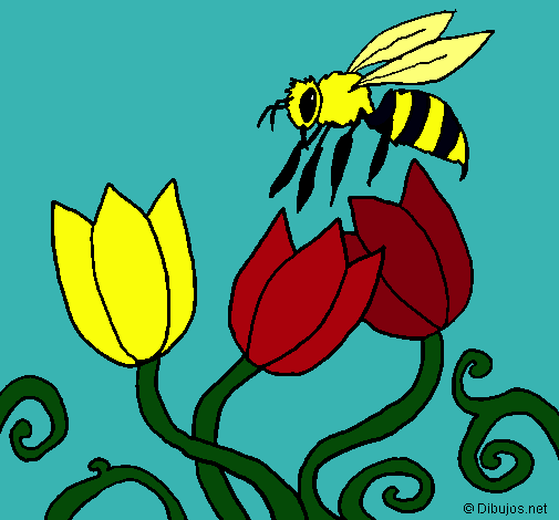 Abeja