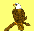 Dibujo Águila en una rama pintado por VALERIA