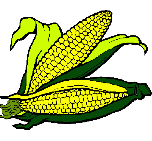 Dibujo de Mazorca de maíz pintado por Elote en  el día 30-08-10  a las 22:21:56. Imprime, pinta o colorea tus propios dibujos!
