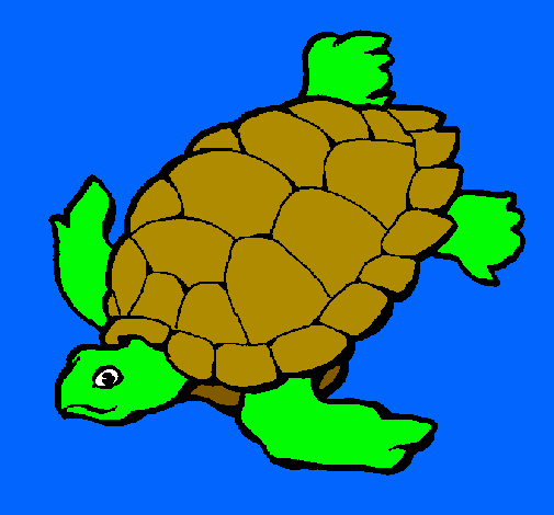 Tortuga