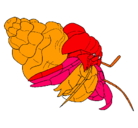 Dibujo Cangrejo ermitaño pintado por said