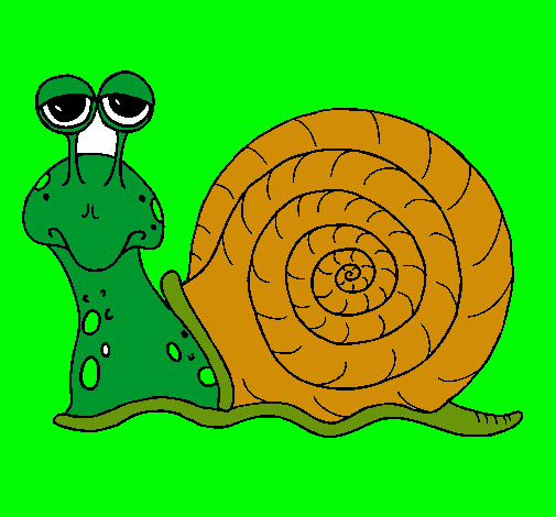 Caracol