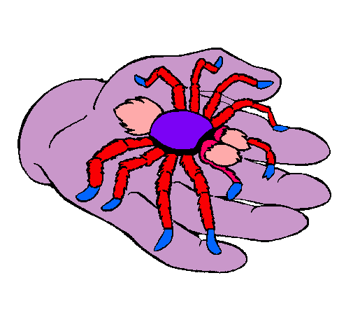 Tarántula