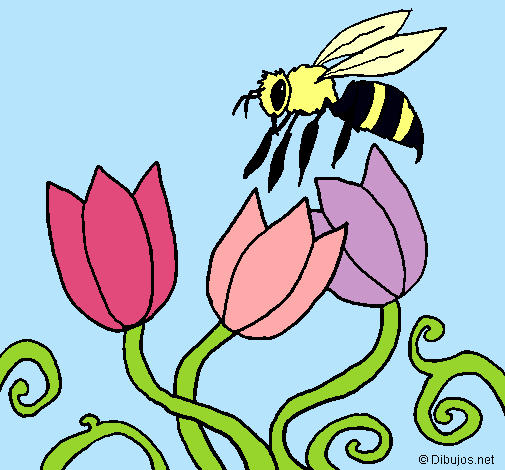 Abeja