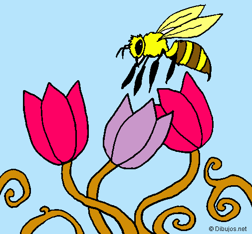 Abeja