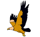 Dibujo Águila volando pintado por paula