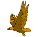Dibujo Águila volando pintado por jackiie