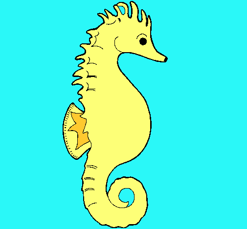 Caballito de mar