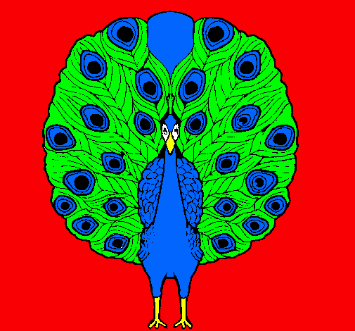 Pavo real