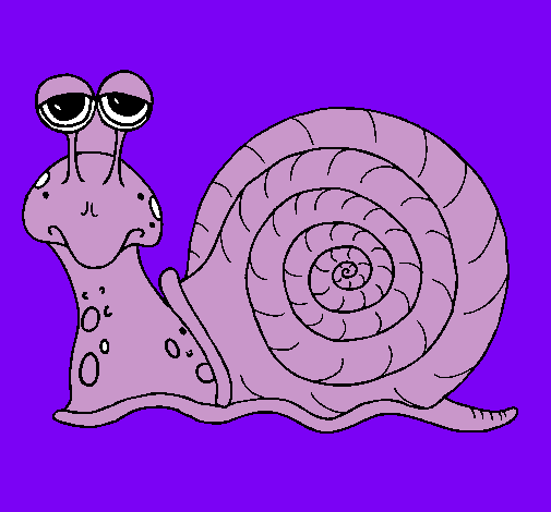 Caracol