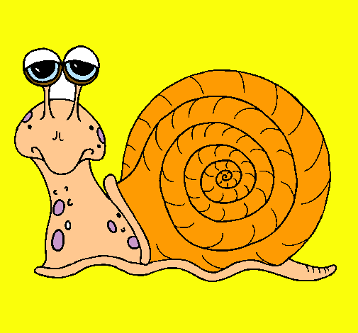 Caracol