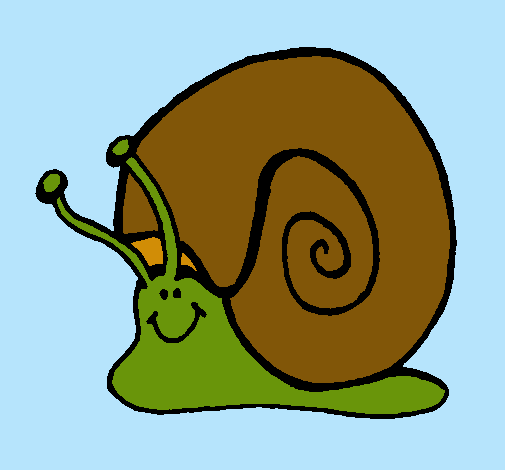 Caracol 