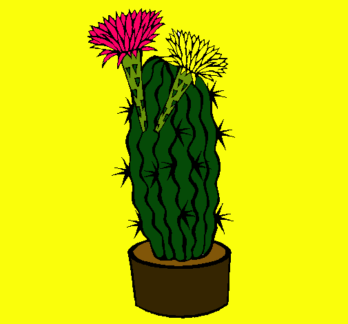 Cactus con flores