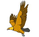 Dibujo Águila volando pintado por scc