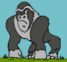 Dibujo Gorila pintado por puly
