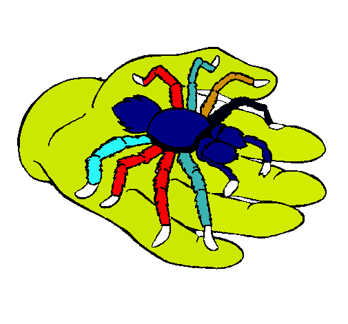 Tarántula