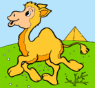 Dibujo Camello pintado por salvador
