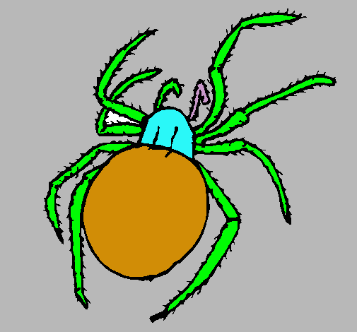 Araña venenosa