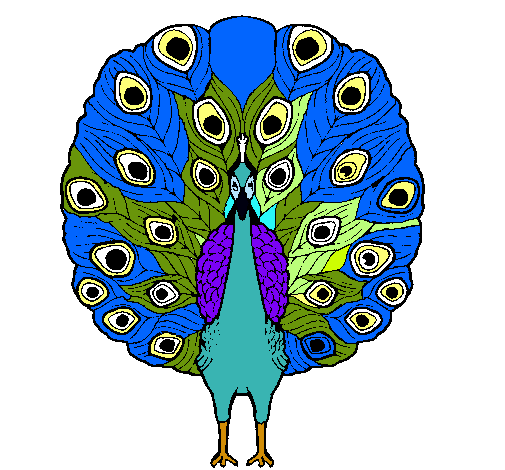 Pavo real