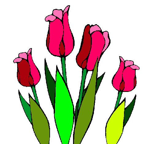 Tulipanes