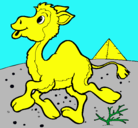 Dibujo Camello pintado por david