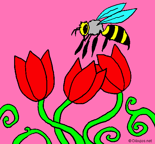 Abeja