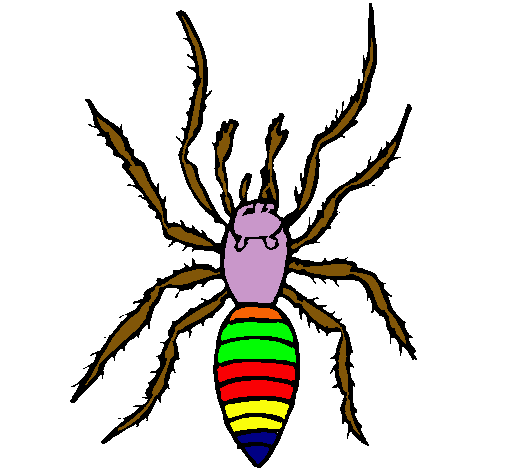 Araña tigre