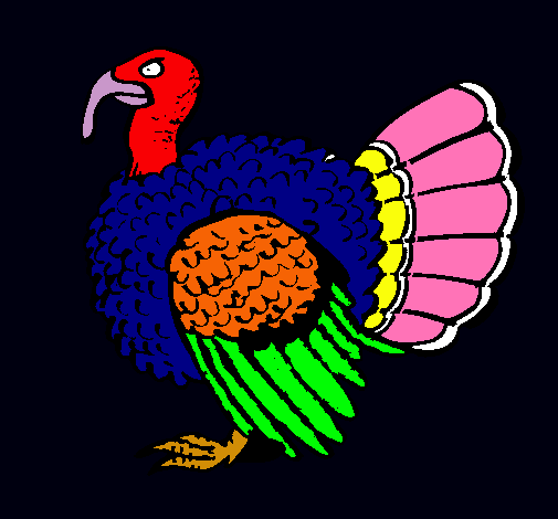 Pavo 