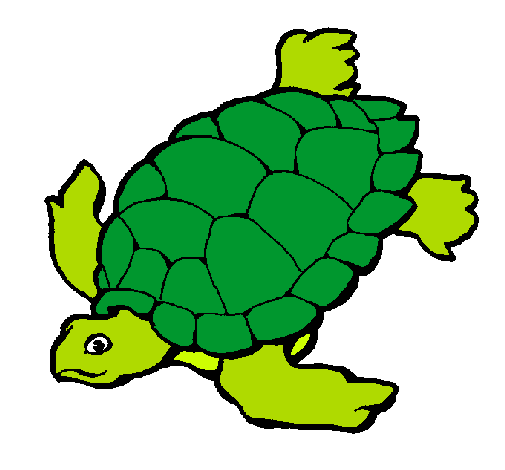 Tortuga