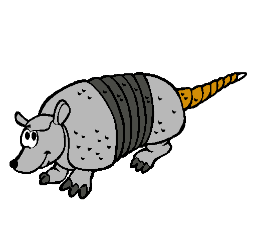 Armadillo