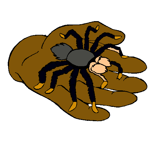 Tarántula