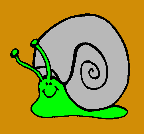 Caracol 