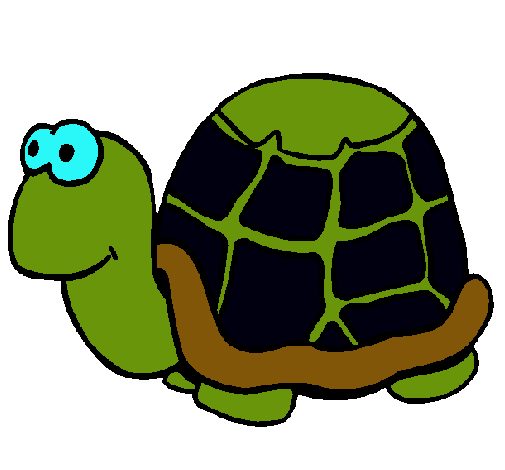 Tortuga