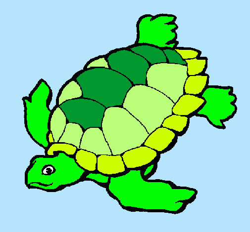 Tortuga