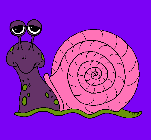 Caracol