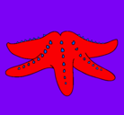 Dibujo Estrella de mar pintado por gabriela