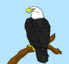 Dibujo Águila en una rama pintado por Rakel.Odd
